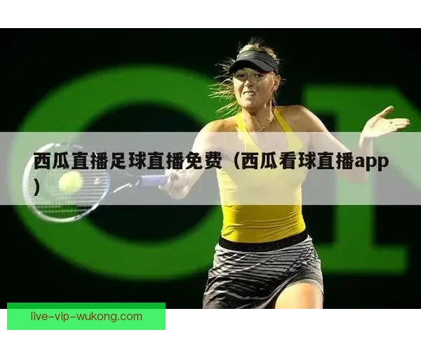 哪些app可以观看足球直播？推荐几款实用的足球直播平台